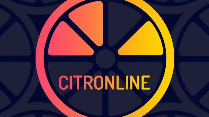 CitrOnline solution e-commerce hybride pour les propriétaires de shops en ligne